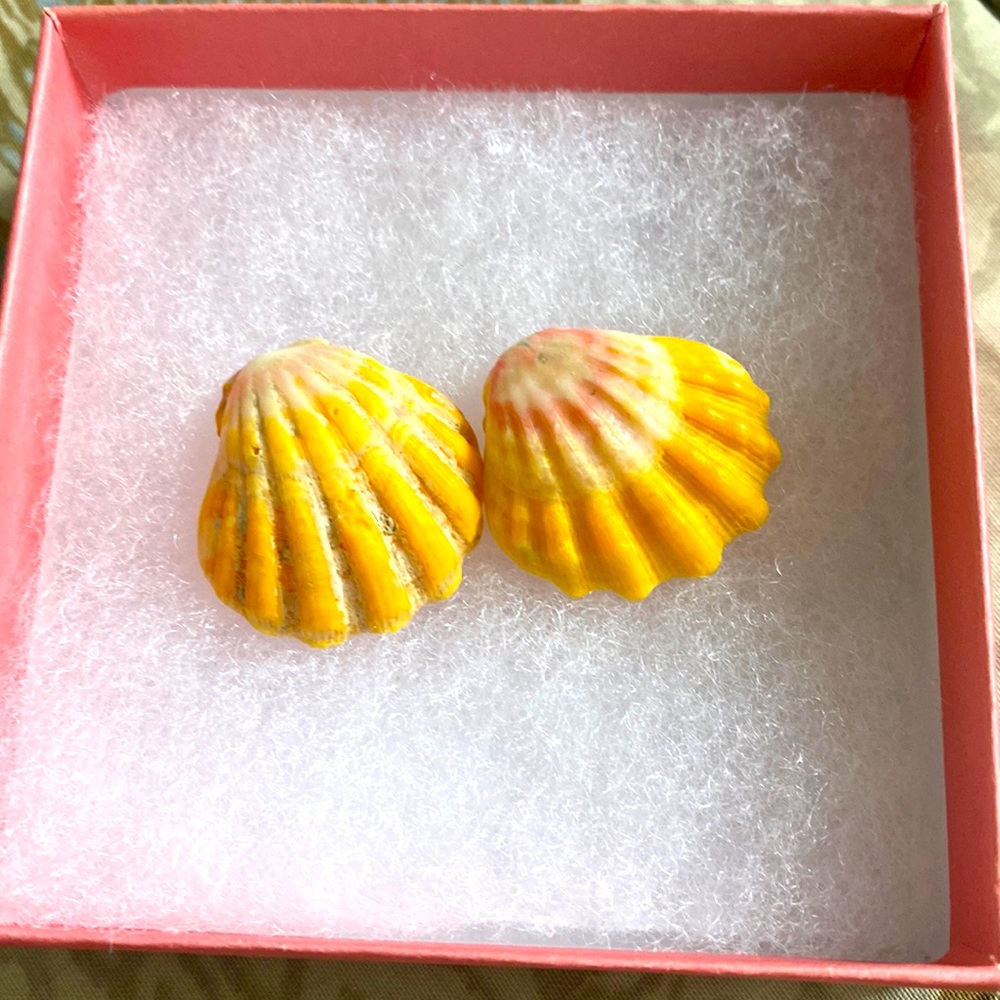 Rare sunrise shell orange.